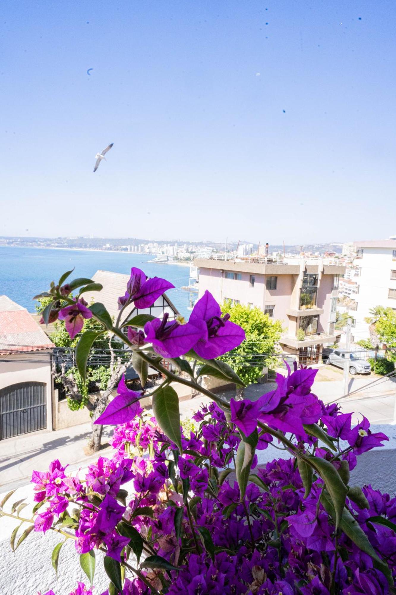 Hotel Vista Velero Vina del Mar Dış mekan fotoğraf